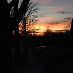 Meet your Posher, Kyla